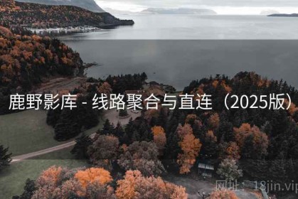 鹿野影库 - 线路聚合与直连（2025版）