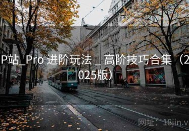 P站_Pro 进阶玩法 _ 高阶技巧合集（2025版）