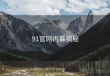 91官网内幕揭秘