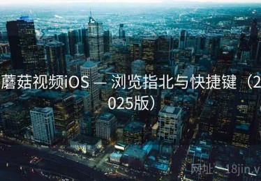 蘑菇视频iOS — 浏览指北与快捷键（2025版）