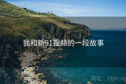 我和新91视频的一段故事
