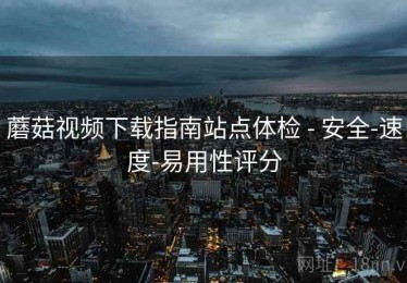 蘑菇视频下载指南站点体检 - 安全-速度-易用性评分