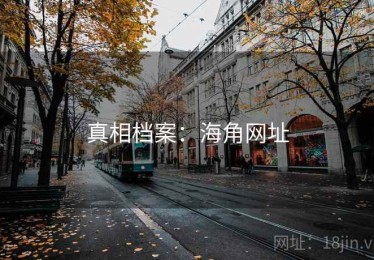 真相档案：海角网址