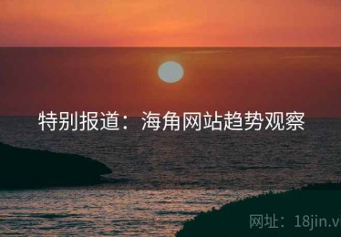 特别报道：海角网站趋势观察