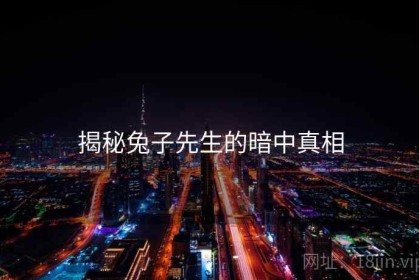 揭秘兔子先生的暗中真相
