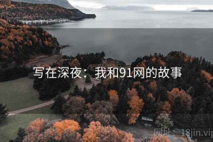 写在深夜：我和91网的故事