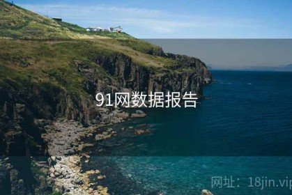 91网数据报告