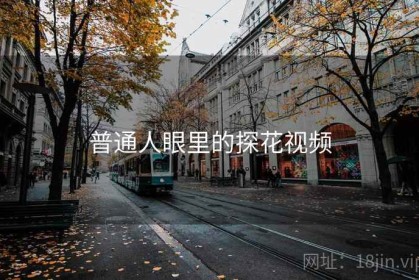 普通人眼里的探花视频