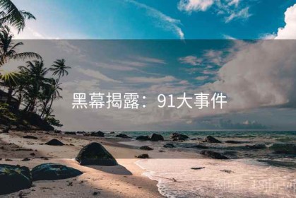黑幕揭露：91大事件