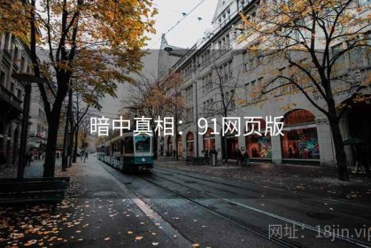 暗中真相：91网页版