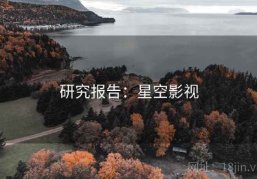 研究报告：星空影视