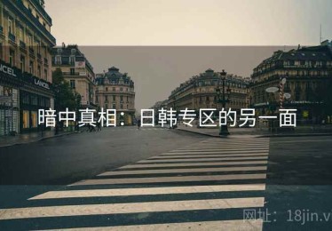 暗中真相：日韩专区的另一面