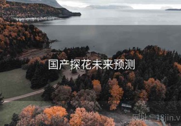 国产探花未来预测