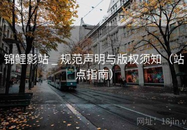 锦鲤影站 _ 规范声明与版权须知（站点指南）
