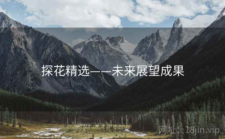 探花精选——未来展望成果