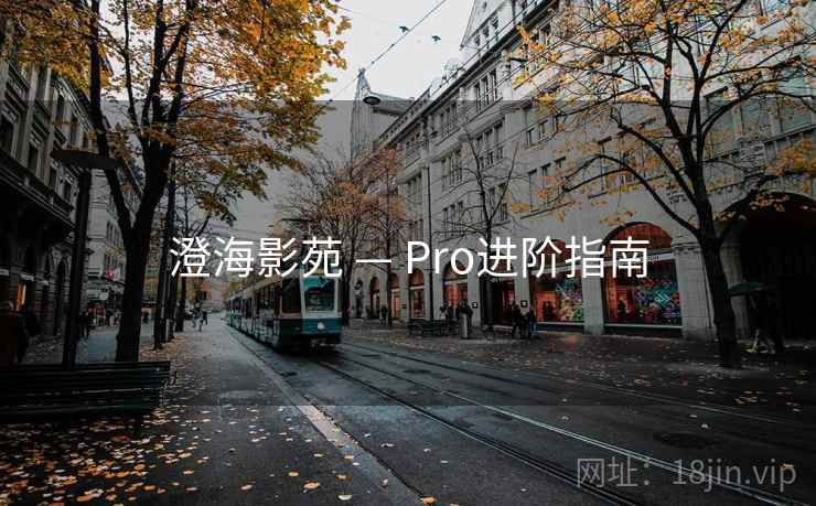 澄海影苑 — Pro进阶指南