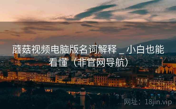 蘑菇视频电脑版名词解释 _ 小白也能看懂（非官网导航）