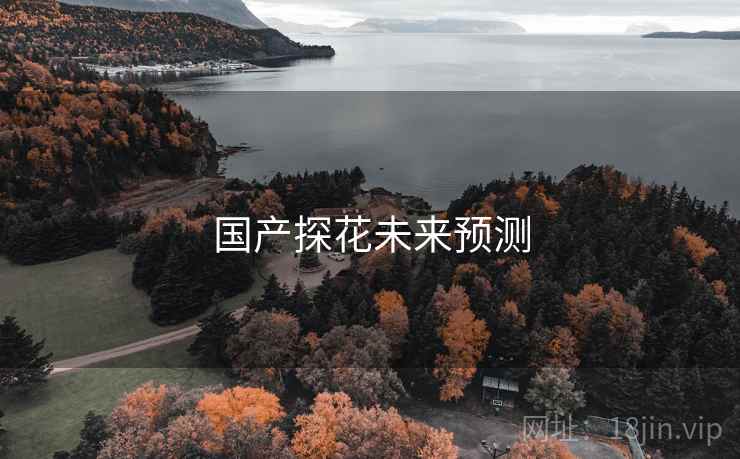 国产探花未来预测