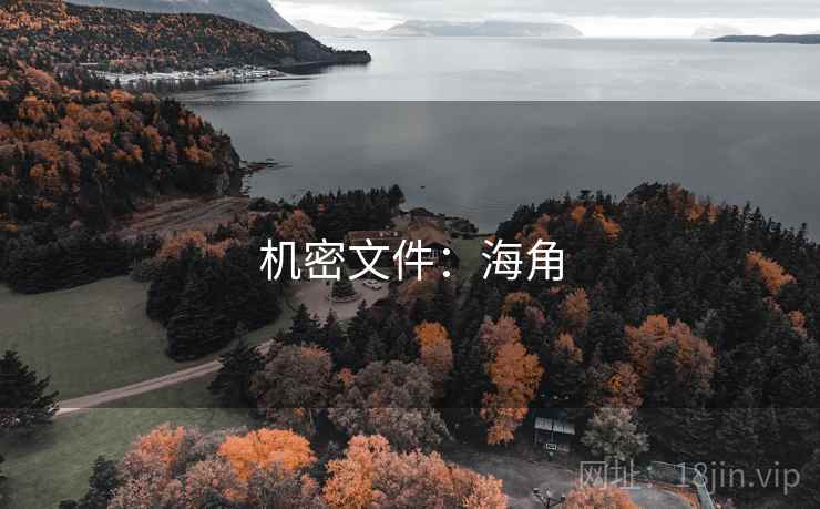 机密文件：海角