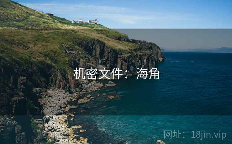 机密文件：海角