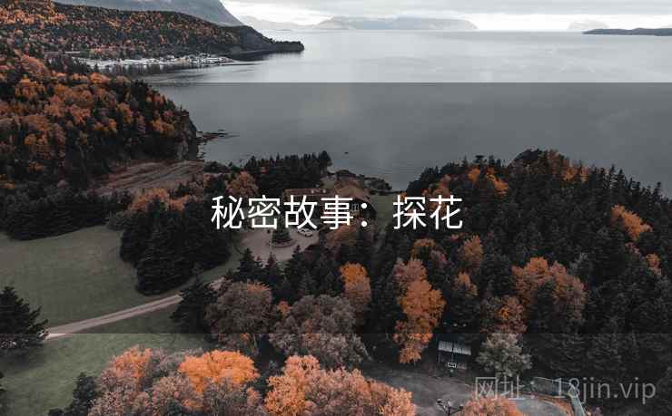 秘密故事：探花