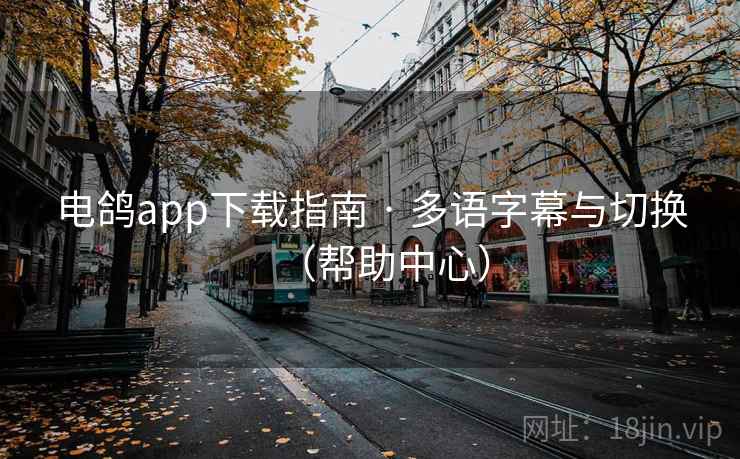 电鸽app下载指南 · 多语字幕与切换（帮助中心）