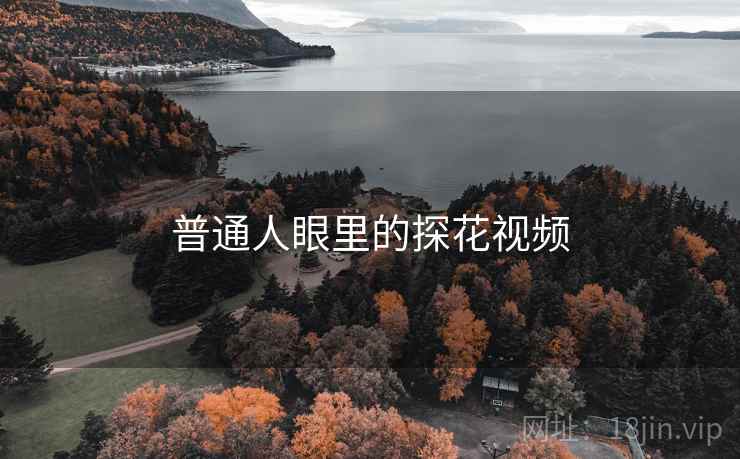 普通人眼里的探花视频 普通人眼里的探花视频