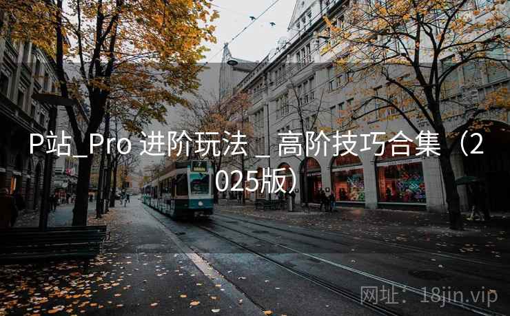 P站_Pro 进阶玩法 _ 高阶技巧合集（2025版）
