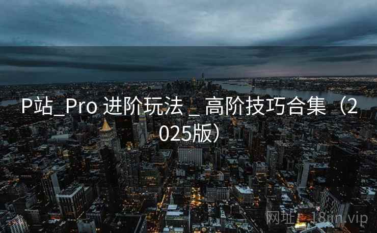 P站_Pro 进阶玩法 _ 高阶技巧合集（2025版）